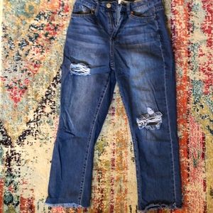 YMI size 5 distressed cropped jeans